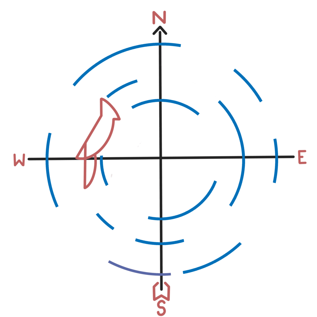 Cardinal Point Marriage Counseling Logo